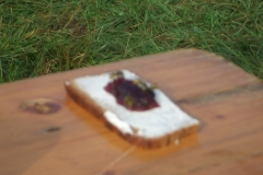 Sommerlager in Westernohe 2011